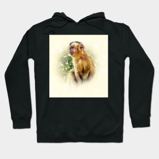 Tufted capuchin Hoodie